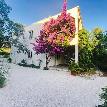 Olive Garden Apartments Poljica  المظهر الخارجي الصورة