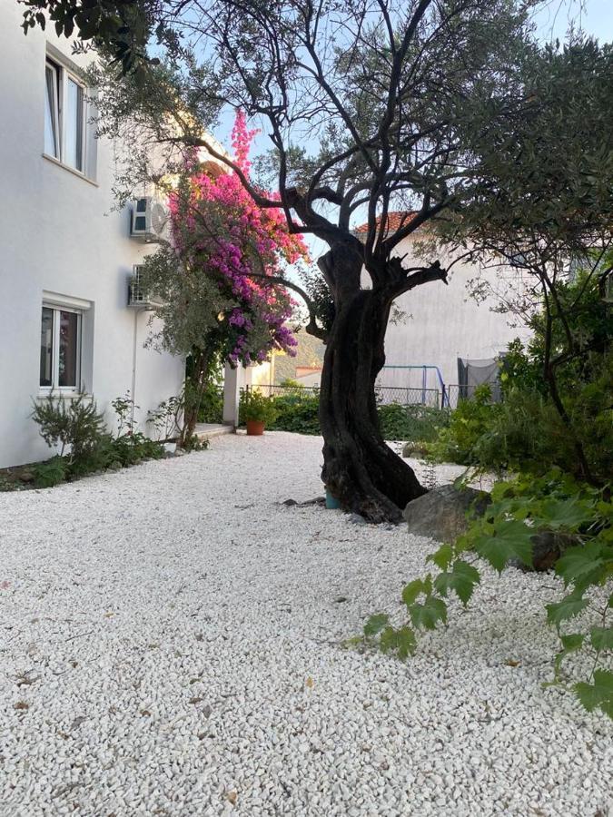 Olive Garden Apartments Poljica  المظهر الخارجي الصورة